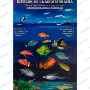 TABLILLA PECES MEDITERRANEO
