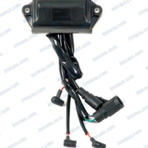 CAJA NEGRA JOHNSON / EVINRUDE 583114