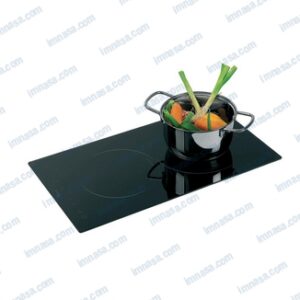 COCINA SERIE BLACK 2 FOGONES INDUCCION 300x505