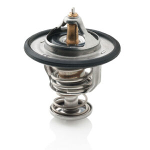 Termostato 76gr. motor | Vetus